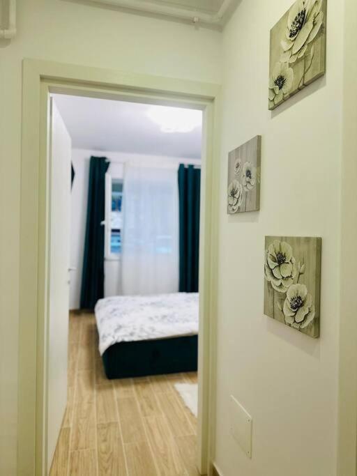 Cozyapartment14 * Roşu
